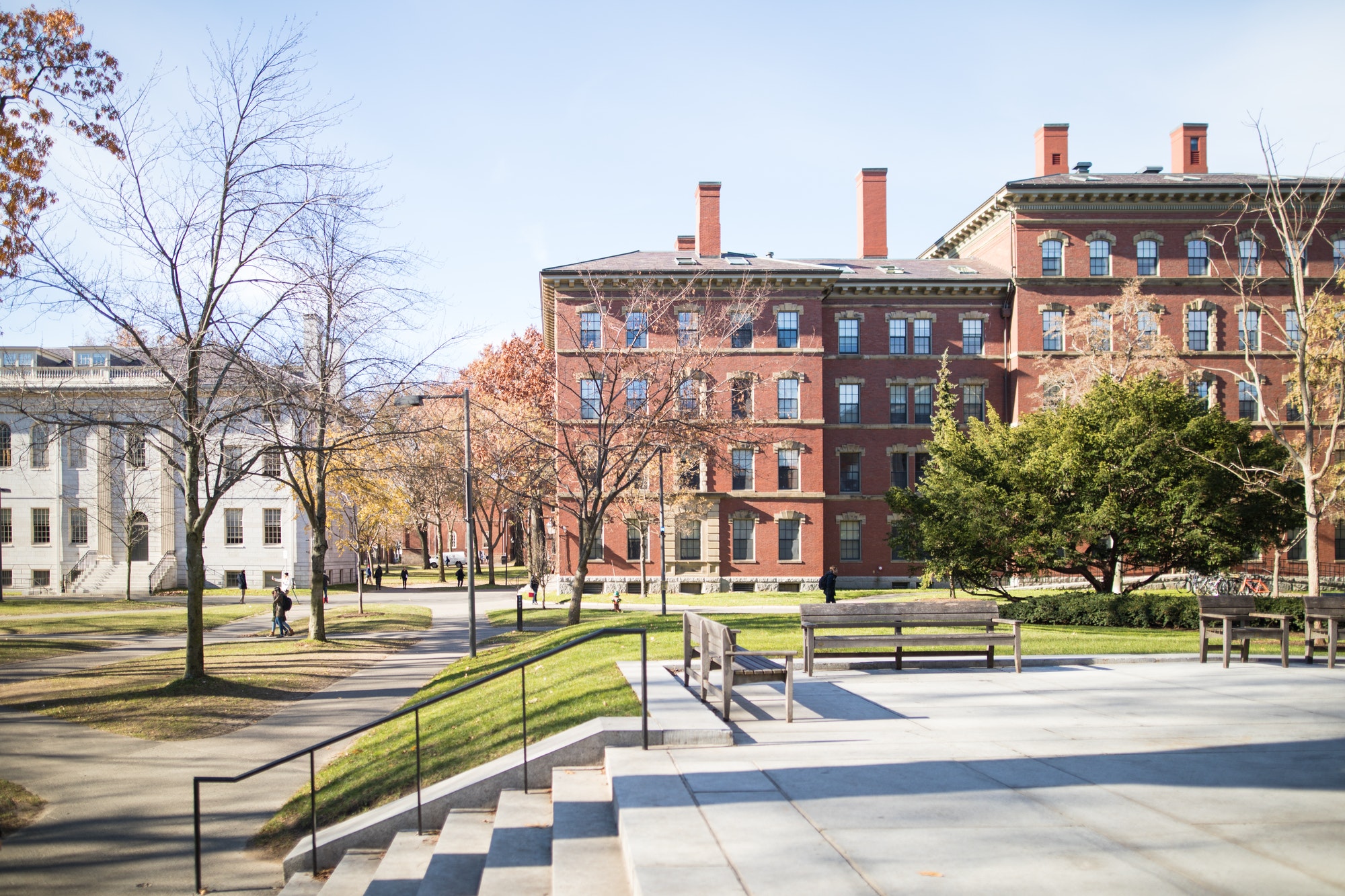 harvard-university-campus.jpg